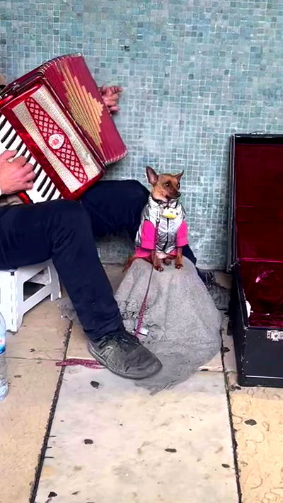 lilarosepalaza lilarosepalaza archive video