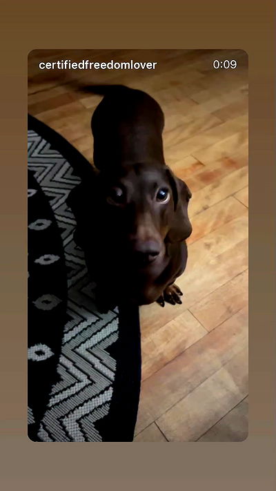 _._dianush._ _._dianush._ archive video