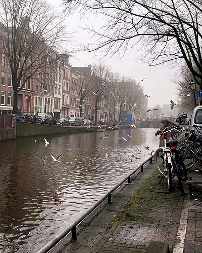 mishel_llll mishel_llll archive video