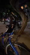 hilaprital Altpins Profile Picture