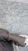 chranababy Altpins Profile Picture