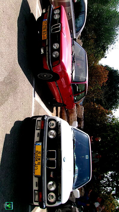 simp_for_cats_ simp_for_cats_ archive video