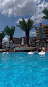 noa_ben_attar Altpins Profile Picture