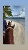 gali_azuolay Altpins Profile Picture