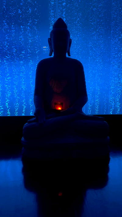 shir.davida6 shir.davida6 archive video