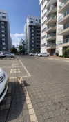 viol.gubin Altpins Profile Picture