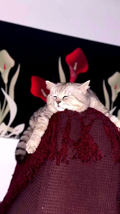 yuri.gever yuri.gever archive video