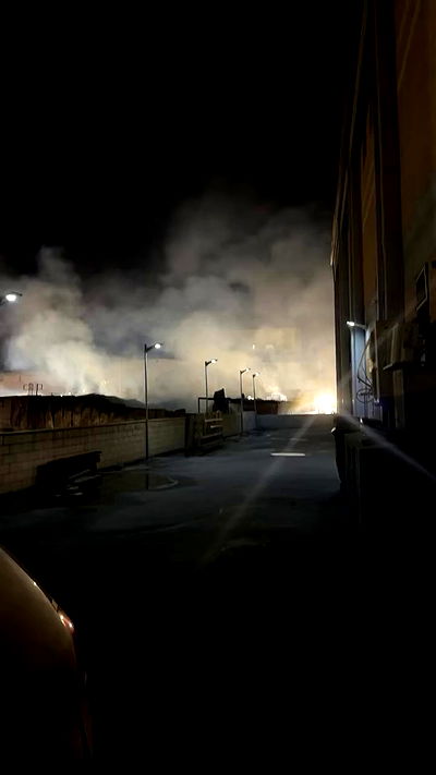 biton__adi biton__adi archive video