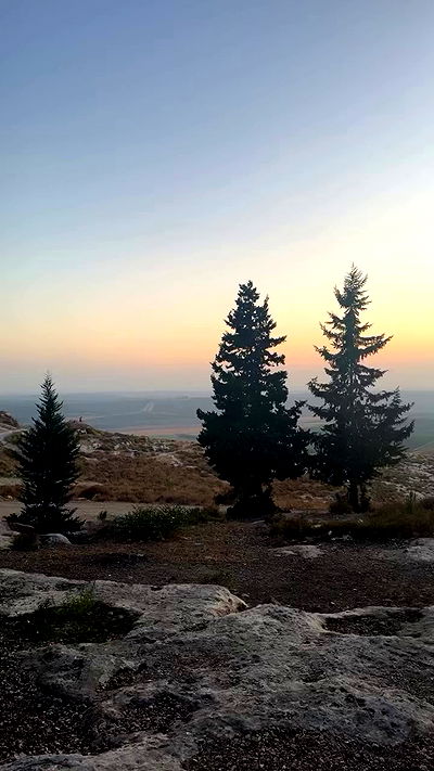 biton__adi biton__adi archive video