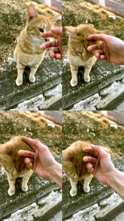 feelbetterinmysweater feelbetterinmysweater archive video