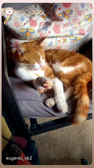 dustheadd dustheadd archive video