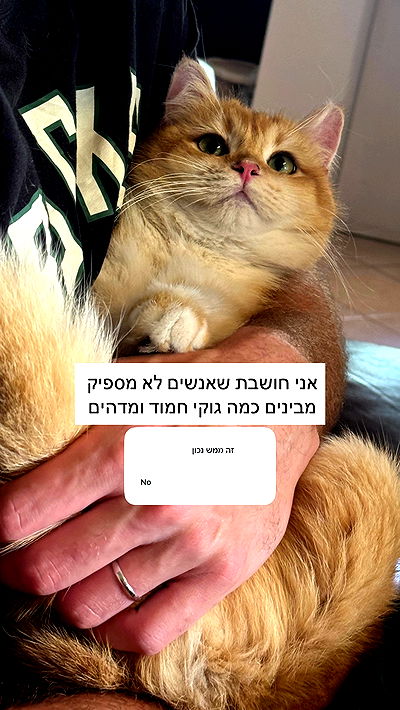 itsilanosh itsilanosh archive video