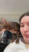 ameliabfit Altpins Profile Picture