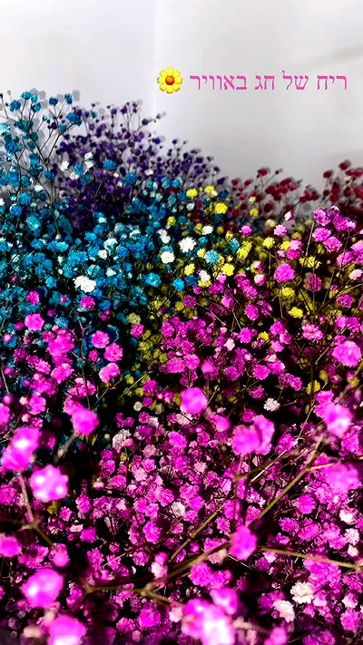 holllly.molly holllly.molly archive video