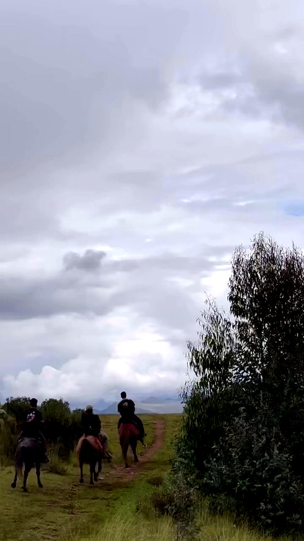 romy.benshushan archive video preview