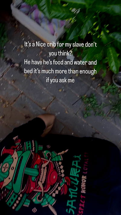 seilorkittyofficial seilorkittyofficial archive video