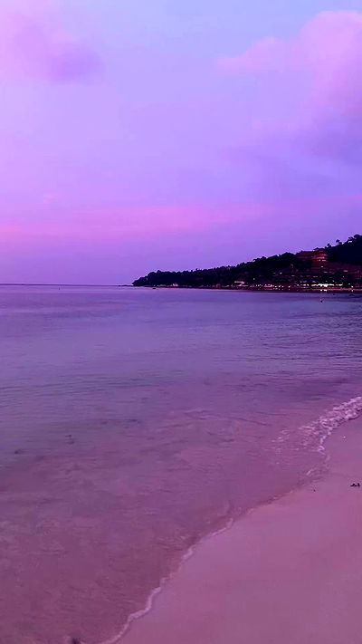 yam_adler yam_adler archive video