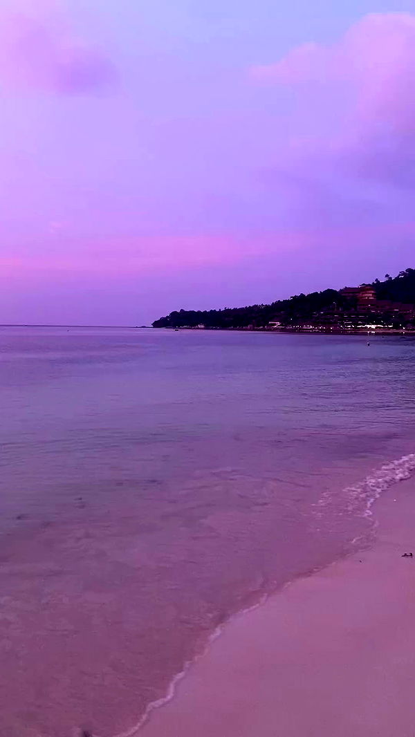 yam_adler archive video preview