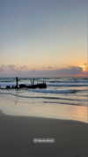 yael_p_16 Altpins Profile Picture