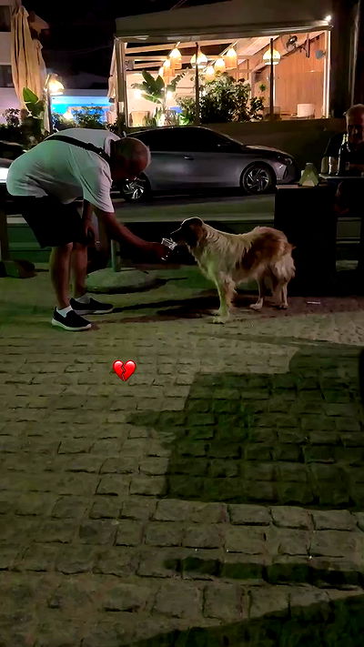 alexis.blond alexis.blond archive video