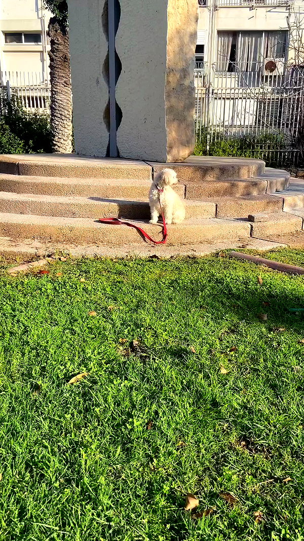 feelbetterinmysweater archive video preview