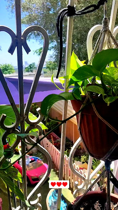 1justsabi 1justsabi archive video