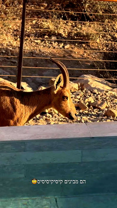 itsilanosh itsilanosh archive video