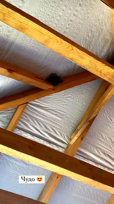 nyityam nyityam archive video