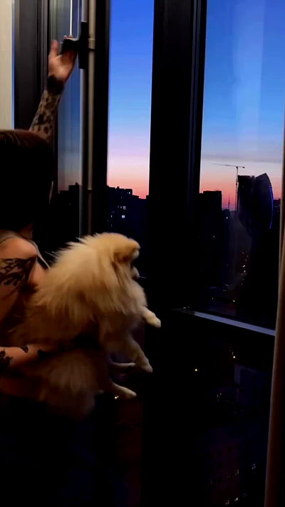 meleeva meleeva archive video