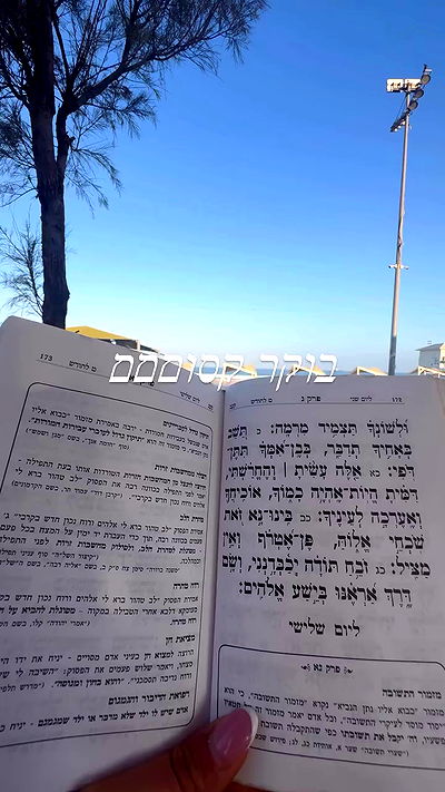 liad.arazi liad.arazi archive video