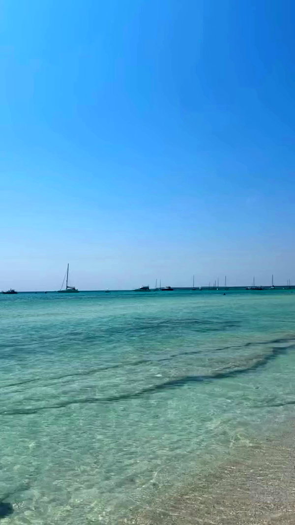 giulia.monico archive video preview