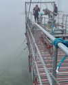 tamar_nk Altpins Profile Picture