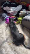 jenny.kaly Altpins Profile Picture