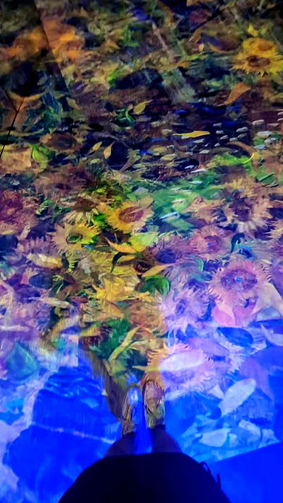 tinapavlov.sky tinapavlov.sky archive video