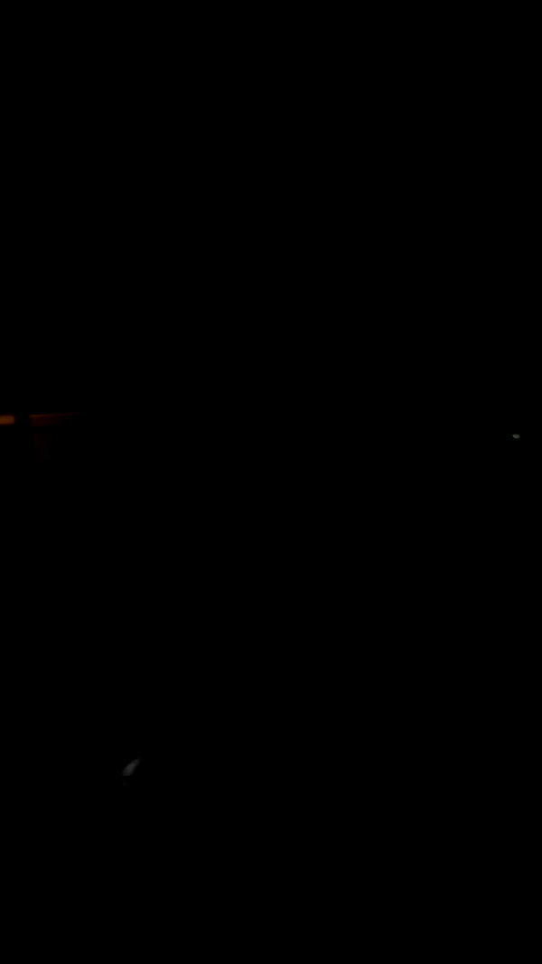 shir.davida6 archive video preview
