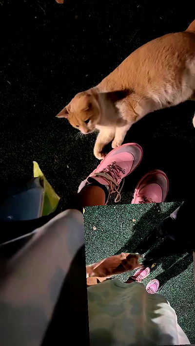 hellokittyangel666 hellokittyangel666 archive video