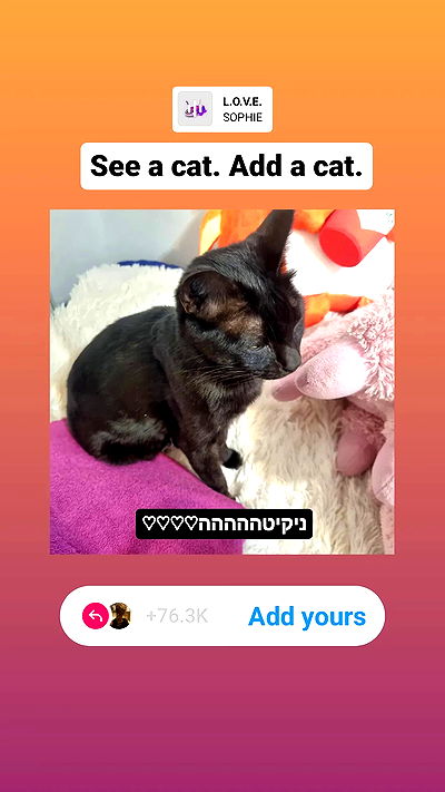 shayli_or shayli_or archive video