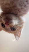 avitallllllll Altpins Profile Picture
