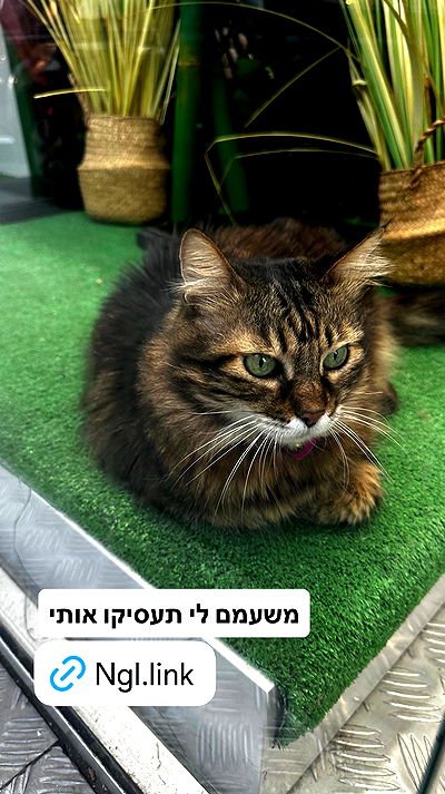 shelly_.mor shelly_.mor archive video