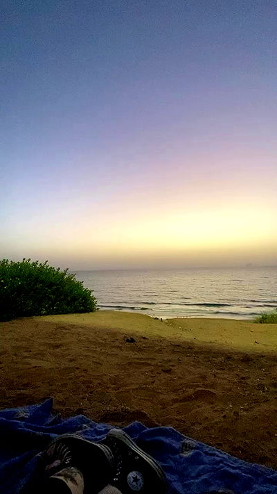 dustheadd dustheadd archive video