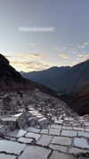 hagarschubert Altpins Profile Picture