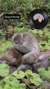 zz.eazoning Altpins Profile Picture