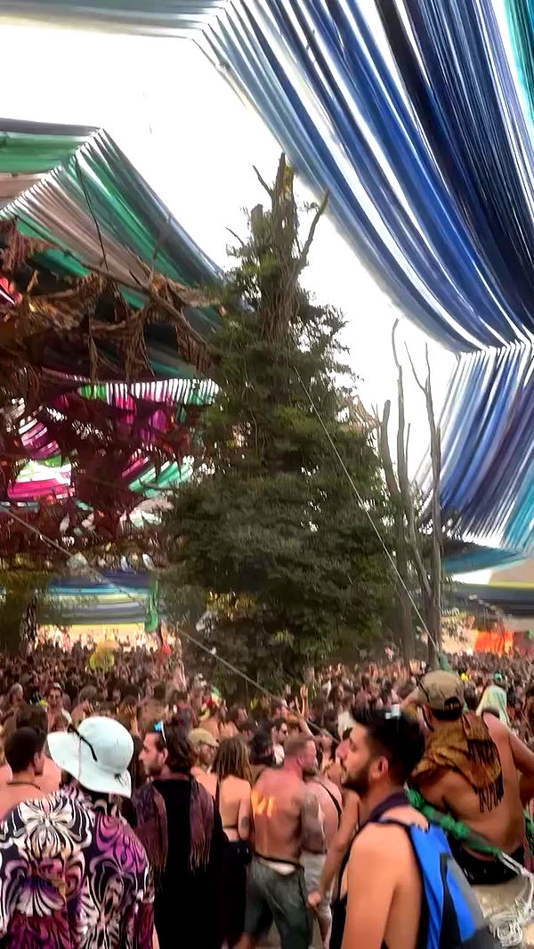 alice.skym archive video preview