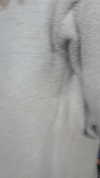 itzjusttavia.xx Altpins Profile Picture
