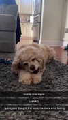 lew12001 Altpins Profile Picture