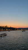 lital.oss Altpins Profile Picture