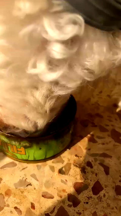 feelbetterinmysweater feelbetterinmysweater archive video