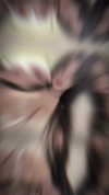 wdmp00_ Altpins Profile Picture