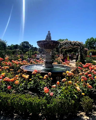 yam_adler yam_adler archive video