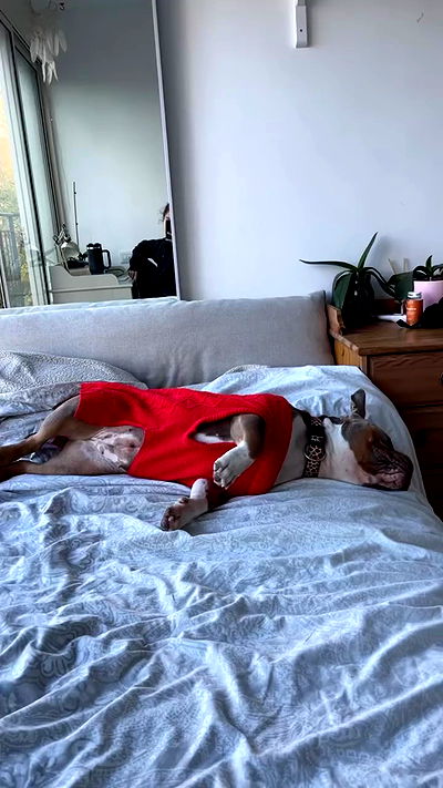 kesemgreenyer kesemgreenyer archive video